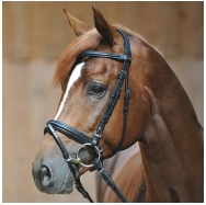 Uzdečka Kavalkade Ravenna 